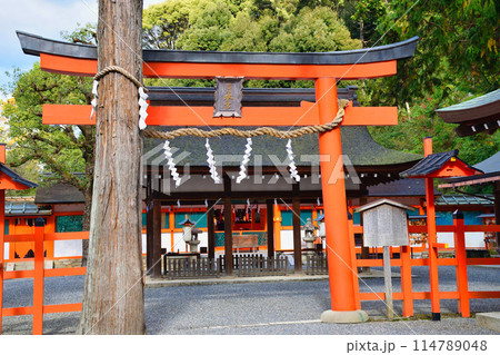 京都　吉田神社　本宮（京都市左京区） 114789048