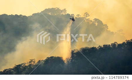Fire fighting helicopter dropping water to extinguish the forest fire. Fire fighting helicopter dropping water to extinguish the forest fire. 114789374