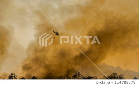 Fire fighting helicopter carry water bucket to extinguish the forest fire Fire fighting helicopter carry water bucket to extinguish the forest fire 114789379
