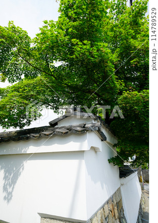 鷹峯の街角 鷹峯の街角 114789529