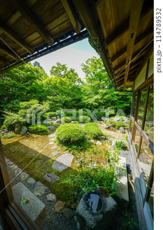 鷹峯源光庵の庭園風景 114789532
