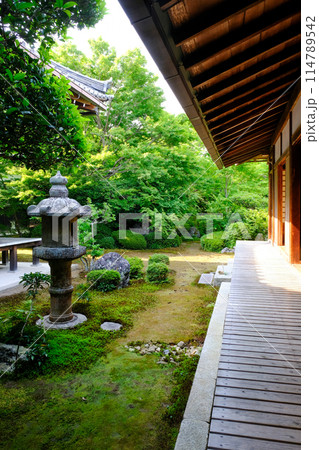 鷹峯源光庵の庭園 114789542
