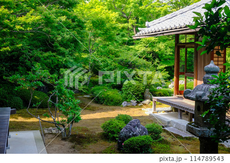 鷹峯源光庵の庭園 114789543