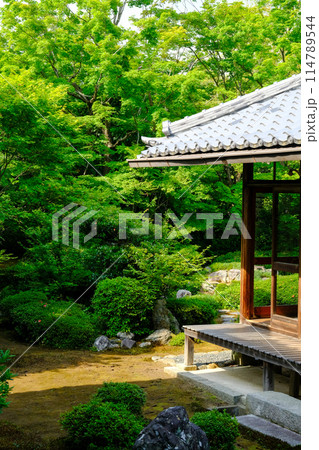 鷹峯源光庵の庭 114789544