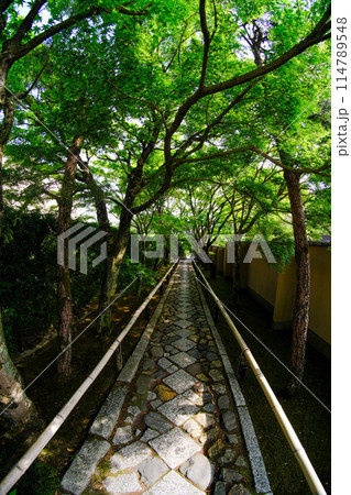 鷹峯光悦寺のアプローチ 114789548