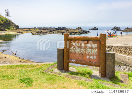 佐渡弥彦米山国定公園 宿根木海岸 佐渡弥彦米山国定公園 宿根木海岸 114789987