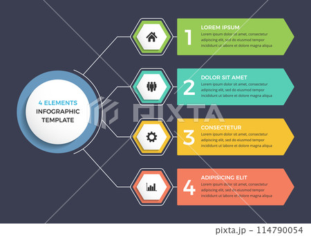 Infographic Template - 4 Options 114790054