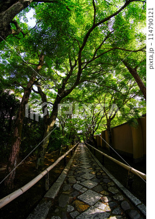 鷹峯光悦寺 114790121