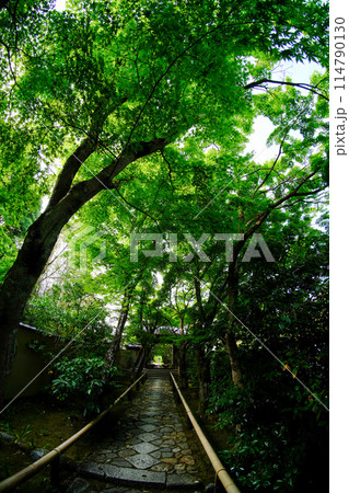 光悦寺の参道 114790130