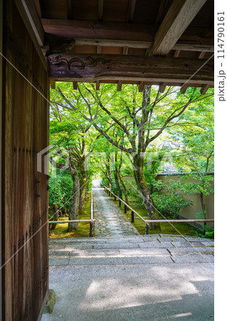 光悦寺の参道 114790161