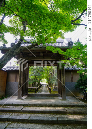 光悦寺の参道 114790164