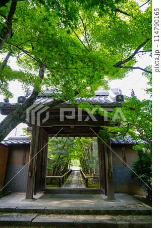 光悦寺の参道 114790165