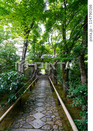 光悦寺の参道 114790166