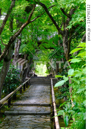 光悦寺の参道 光悦寺の参道 114790312