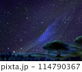木々と崖から見た天の川 114790367