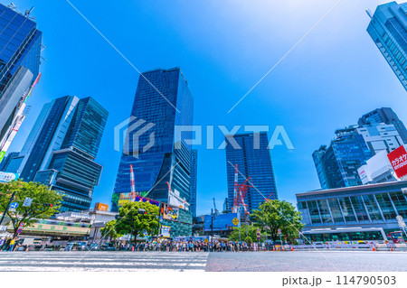 日本の東京都市景観 復活インバウンド…外国人観光客らで賑わう渋谷スクランブル交差点などを望む=17日 日本の東京都市景観 復活インバウンド…外国人観光客らで賑わう渋谷スクランブル交差点などを望む=17日 114790503