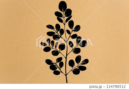 acacia leafs and flowers vector silhouette. Medicinal tree branch with leaves, Acacia set graphic black and white flower leaves seeds acacia leafs and flowers vector silhouette. Medicinal tree branch with leaves, Acacia set graphic black and white flower leaves seeds 114790512