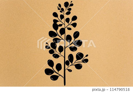 acacia leafs and flowers vector silhouette. Medicinal tree branch with leaves, Acacia set graphic black and white flower leaves seeds 114790518
