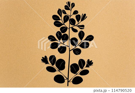 acacia leafs and flowers vector silhouette. Medicinal tree branch with leaves, Acacia set graphic black and white flower leaves seeds acacia leafs and flowers vector silhouette. Medicinal tree branch with leaves, Acacia set graphic black and white flower leaves seeds 114790520