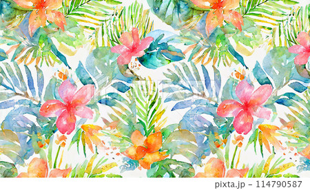 トロピカルな花の水彩画イラスト背景 114790587