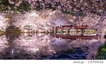 弘前城夜の絶景 ライトアップされた花筏の西濠と満開の桜に囲まれる春陽橋 青森県 弘前城夜の絶景 ライトアップされた花筏の西濠と満開の桜に囲まれる春陽橋 青森県 114790588