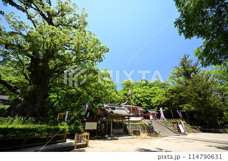 大クスがある蒲生八幡神社 大クスがある蒲生八幡神社 114790631