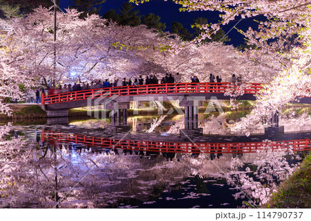 弘前城夜の絶景　ライトアップされた花筏の西濠と満開の桜に囲まれる春陽橋　青森県 114790737