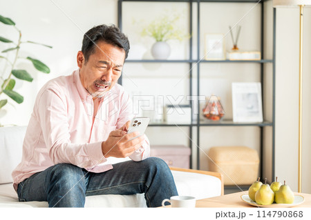 自宅でスマホを操作するミドル男性。 自宅でスマホを操作するミドル男性。 114790868