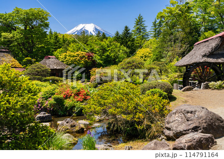日本の農村　忍野八海の富士山 114791164