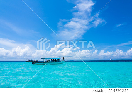 沖縄フォト 宮古島のシュノーケルツアーイメージ 沖縄フォト 宮古島のシュノーケルツアーイメージ 114791232