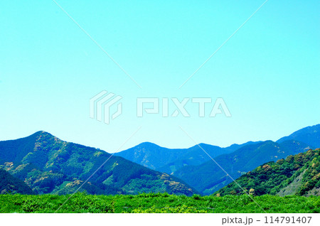 静岡市新間の里山風景 114791407
