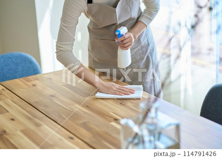 部屋を拭き掃除する女性 部屋を拭き掃除する女性 114791426