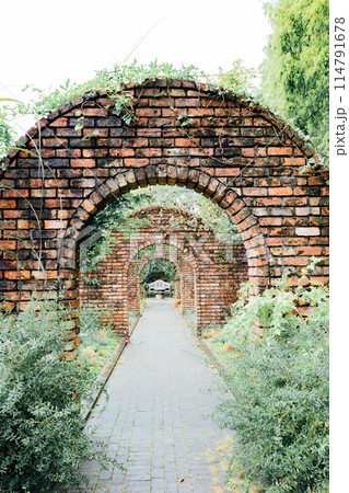 デンパーク　秘密の花園 114791678