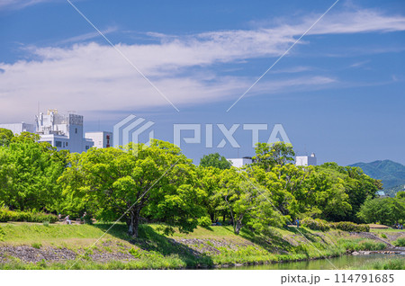 初夏の京都鴨川風景 初夏の京都鴨川風景 114791685