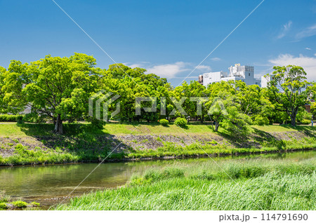 初夏の京都鴨川風景 初夏の京都鴨川風景 114791690