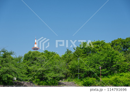 鴨川沿いの公園越しに眺める京都タワー 鴨川沿いの公園越しに眺める京都タワー 114791696