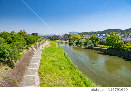 初夏の京都鴨川風景 初夏の京都鴨川風景 114791699
