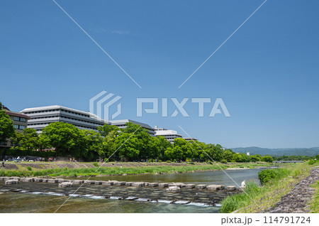 初夏の京都鴨川風景　 114791724