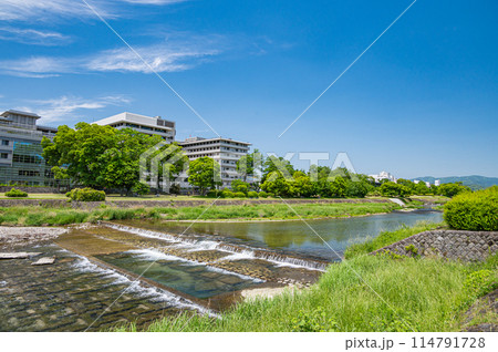 初夏の京都鴨川風景　 114791728