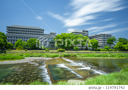 初夏の京都鴨川風景 初夏の京都鴨川風景 114791742