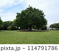 野毛山公園展望地区の広場 114791786