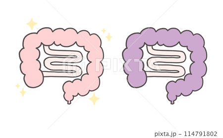 不健康な腸の7つの兆候