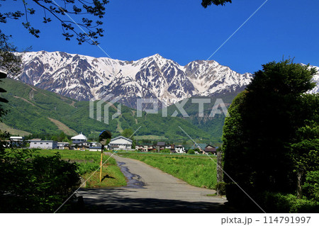 農道とアルプス（長野県・白馬村） 114791997