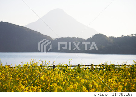 暖かい春を迎えた池田湖の風景 114792165