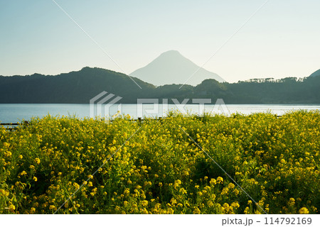 夕焼けに照らされる春の池田湖 114792169