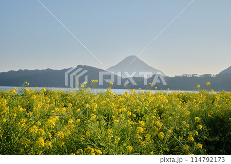 春の陽気に包まれる池田湖 春の陽気に包まれる池田湖 114792173