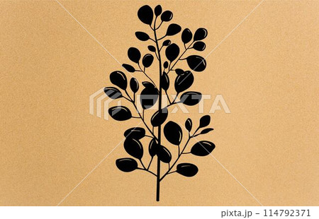 Acacia flower graphic black white isolated silhouette,Collection of silhouette of acacia. Branches, leaves 114792371