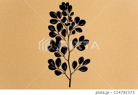 Acacia flower graphic black white isolated silhouette,Collection of silhouette of acacia. Branches, leaves 114792373
