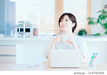 リビングでテレワークをする主婦。 リビングでテレワークをする主婦。 114792493