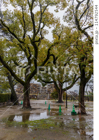 高松市の玉藻公園の雨の風景 114792544